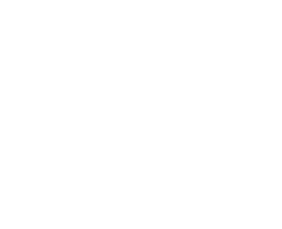 msa logo